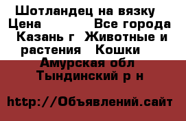 Шотландец на вязку › Цена ­ 1 000 - Все города, Казань г. Животные и растения » Кошки   . Амурская обл.,Тындинский р-н